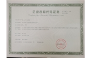 Enterprise Name Code Certificate